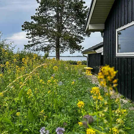 Beachfront Near Dalby Bay *