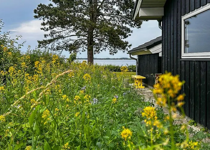 Beachfront Near Dalby Bay *